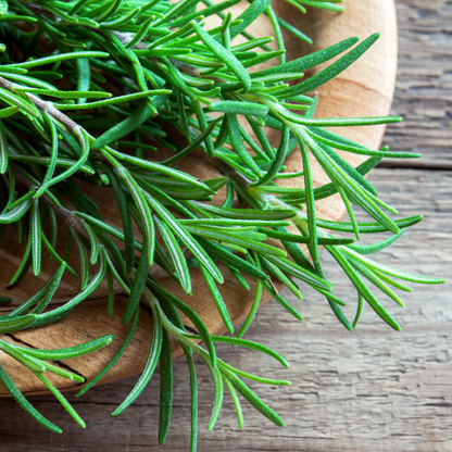 rosemary--essential-oil